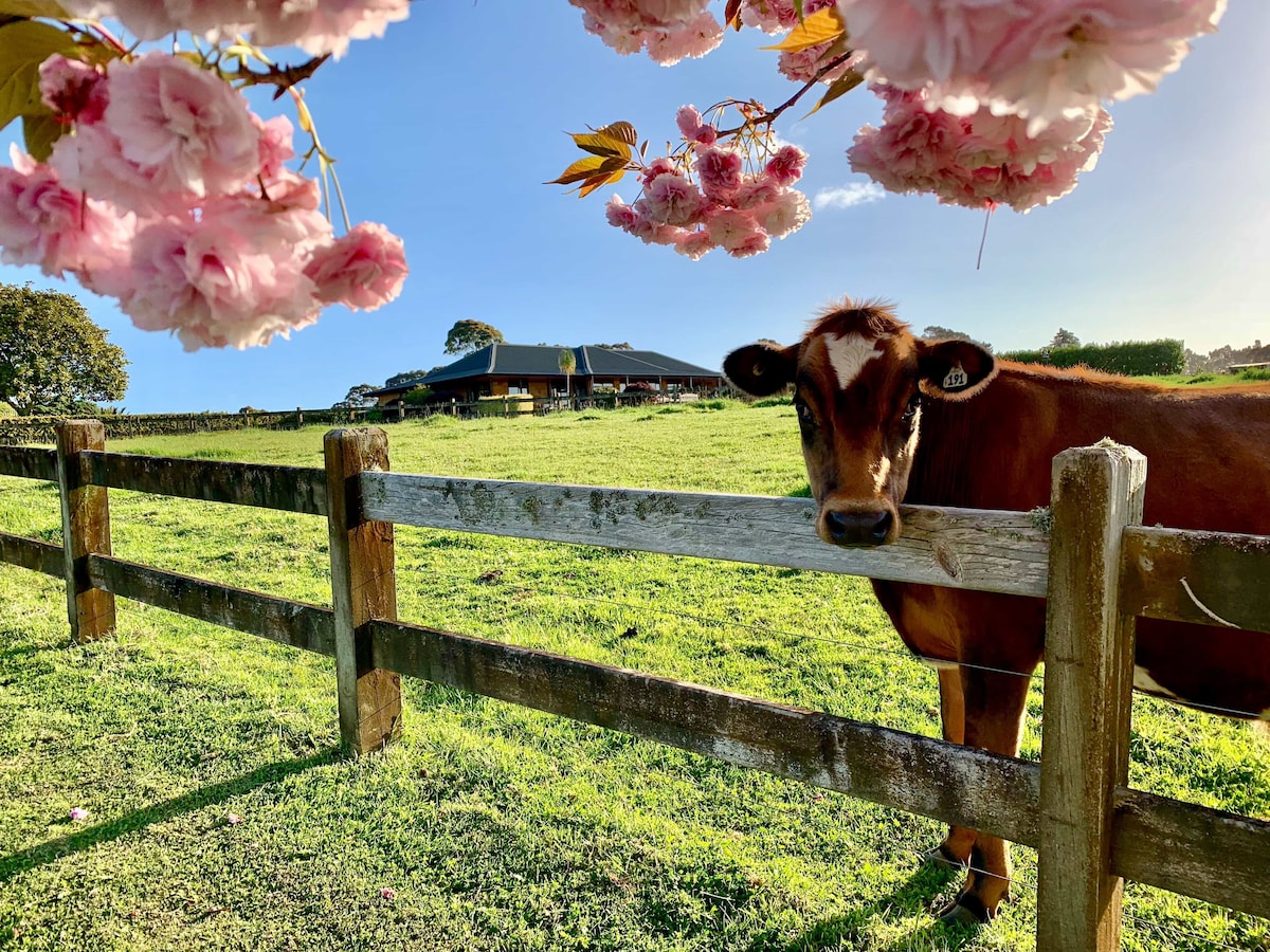 Peaceful Farm Stay Near Auckland with Spa Pool