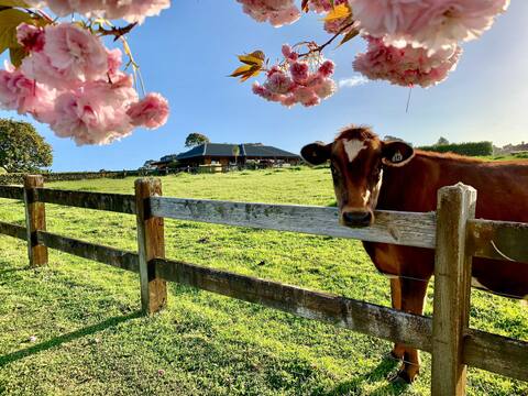 Peaceful Farm Stay Near Auckland with Spa Pool
