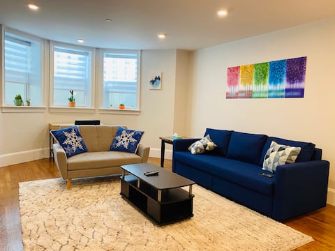 Top Airbnb: Luxury 2B1B Apt. One Free compact Parking Spot in Brookline
