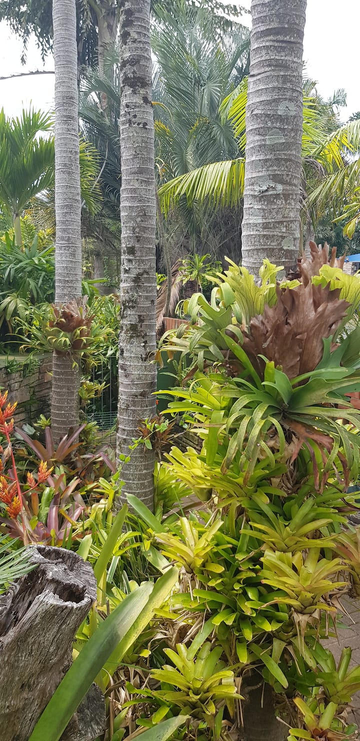 Stone House - Holiday Home in a Tropical setting