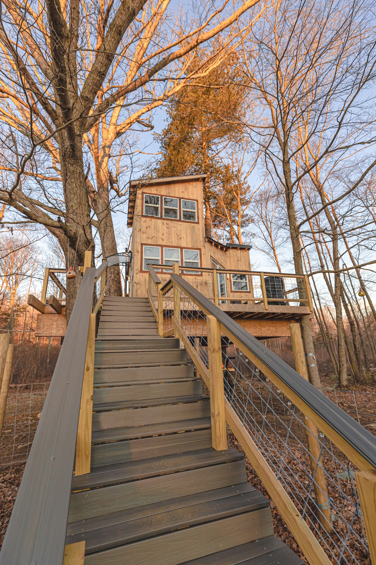 A wooden treehouse is elevated among tall trees, accessed by a sturdy staircase. Large windows are visible on the upper levels, allowing natural light to illuminate the interior. The surrounding area features a blend of bare branches and soft foliage, characteristic of a serene natural setting.