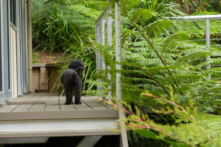 Bushland Retreat in Smiths Lake gallery image 2