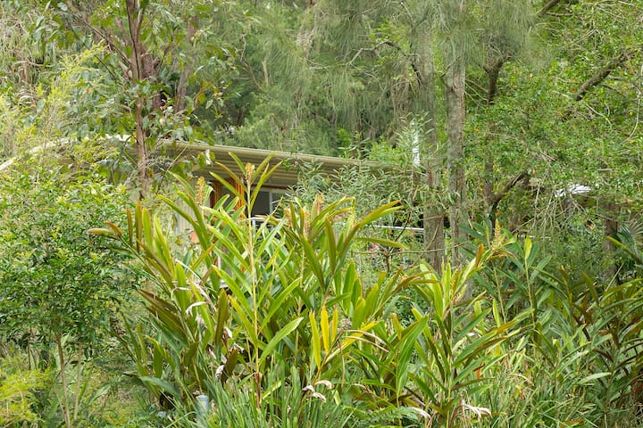 Bushland Retreat in Smiths Lake