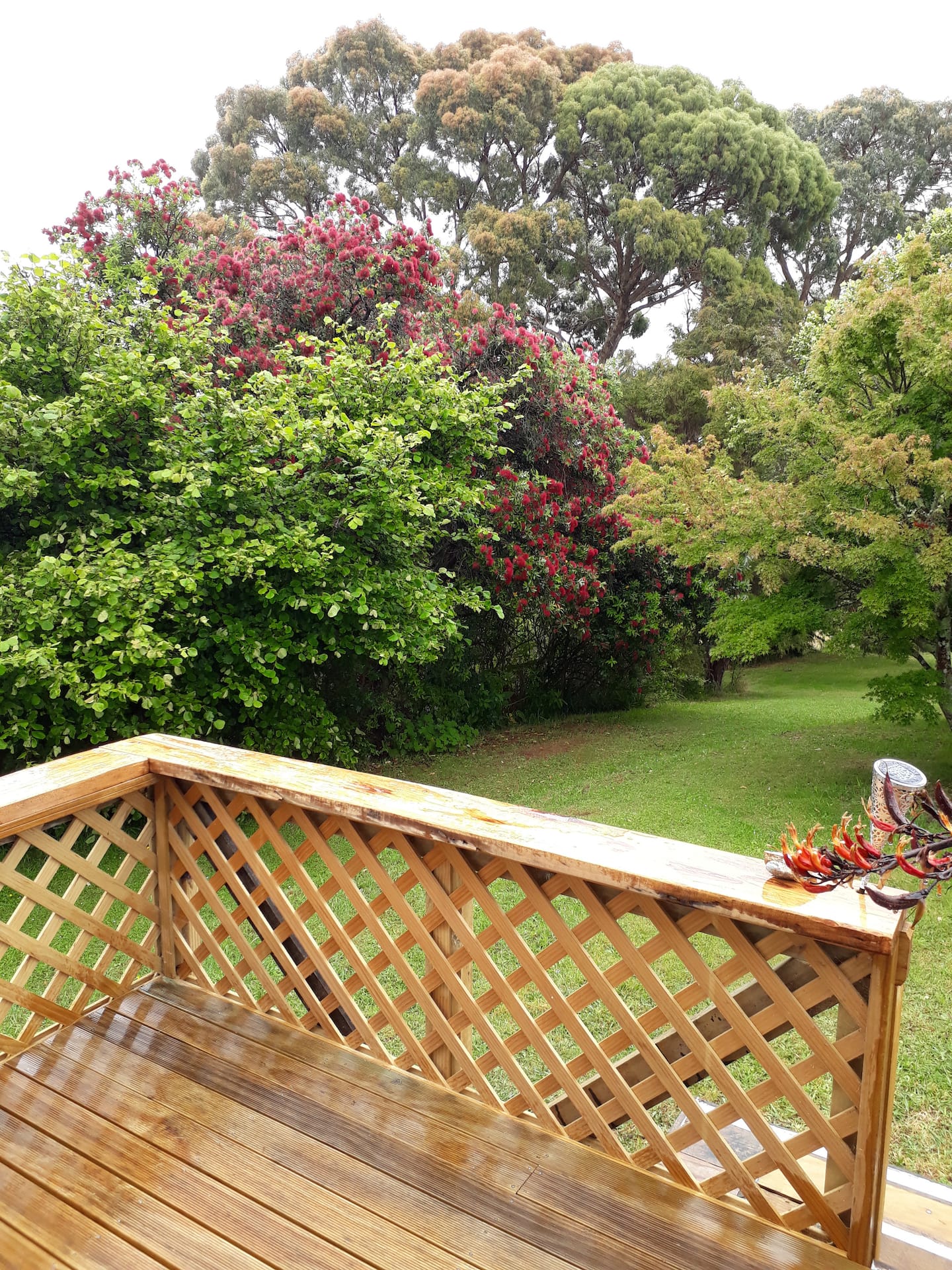 Golden Bay View Cottage 3