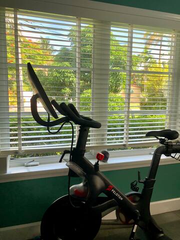 The Sunrise: Luxe Midcentury Modern Tropical Oasis gallery image 4