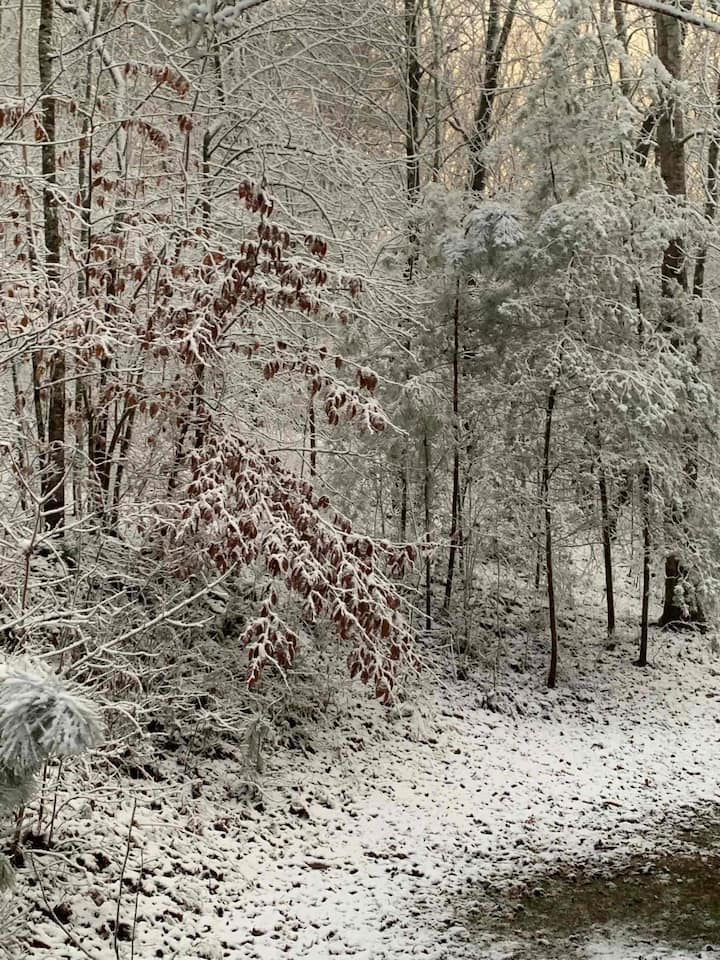 Ducktown Cabin Rentals Cabins and More Airbnb