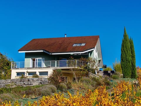 Bright house amid vineyards