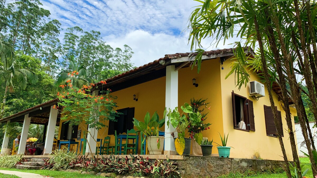 A warm yellow exterior showcases a spacious property surrounded by tropical greenery. The inviting porch features an arrangement of colorful chairs and a variety of potted plants. Large windows with wooden shutters provide natural light, enhancing the relaxed atmosphere of the space.