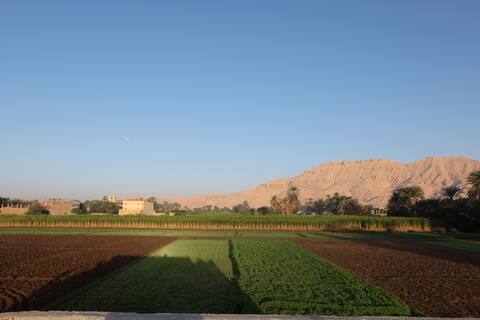 Temples WALKABLE / LUXURY House, Garden & View
