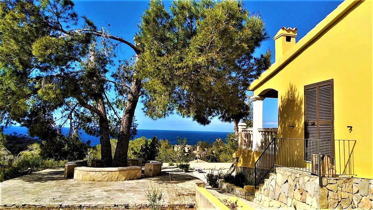 A yellow exterior of the chalet is shown, complemented by natural stone accents. A large tree provides shade, while the distant sea creates a scenic backdrop. A stone seating area is visible in the foreground, enhancing the outdoor space's inviting atmosphere.