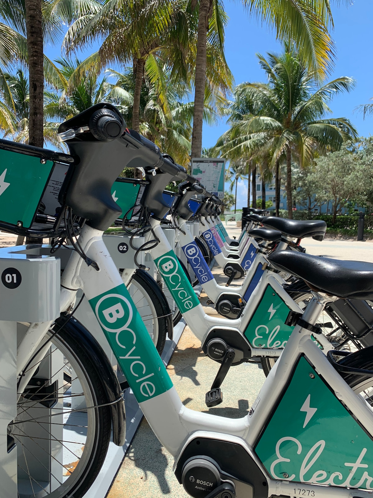 A row of electric bicycles is neatly parked at a bike-sharing station against a backdrop of tropical palm trees. The bicycles feature bright teal and white designs, with clear signage indicating their availability for rides in the area.