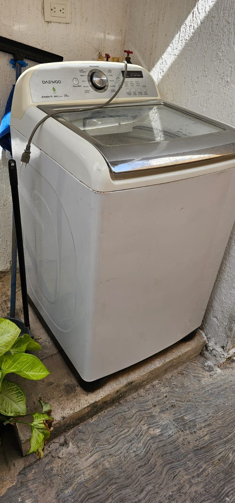 A modern top-loading washing machine is positioned against a wall, showcasing a transparent lid and control panel. The machine is placed on a tiled surface, with a small green plant nearby, contributing to a practical laundry space.