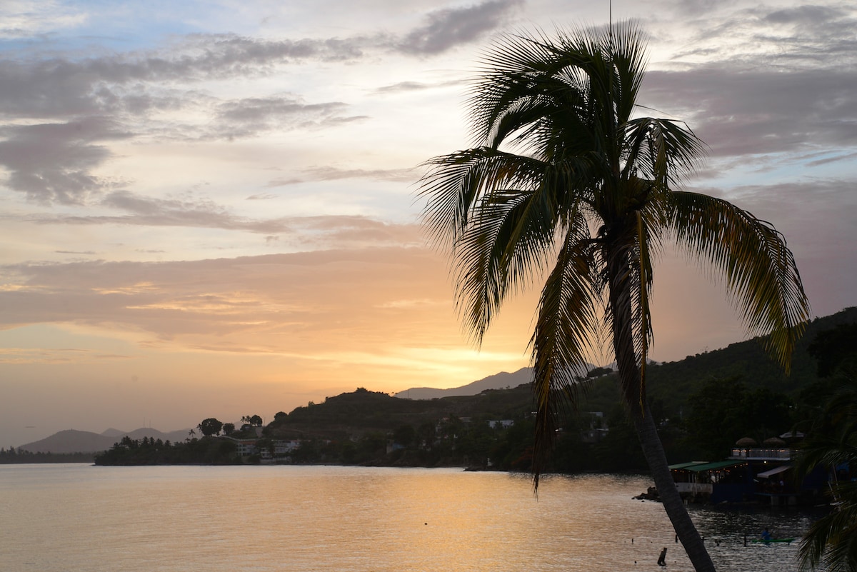 The image captures a serene sunset over the water, with a single palm tree in the foreground. Soft hues of orange and pink fill the sky, reflecting on the calm surface of the sea. Rolling hills are visible in the background, framing the coastal scene.
