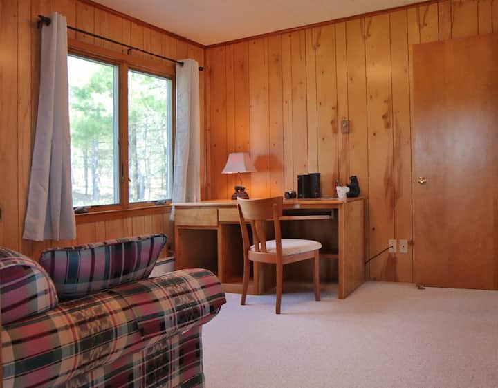 Bedroom 4 - a den with a single pull-out sofa