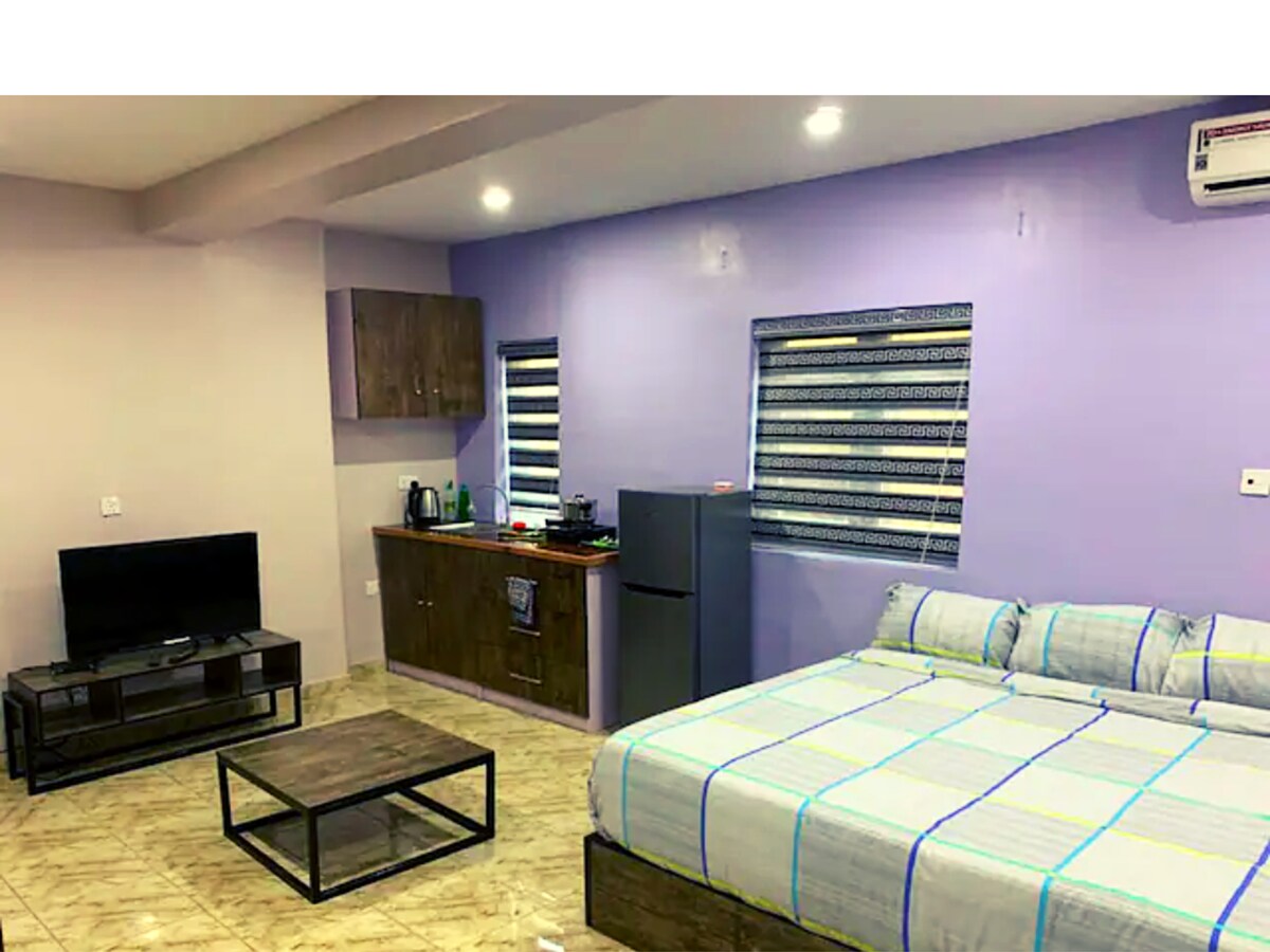 A modern living space features a spacious bed with light-colored bedding. A flat-screen television is positioned across from the bed, while a kitchenette is visible with a refrigerator and kitchen essentials. Natural light enters through two windows, enhancing the room's ambiance.
