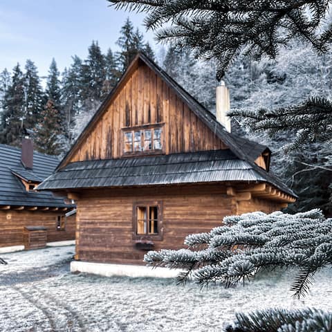 Wooden house in Liptov courtyard