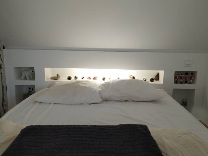 Habitación 1