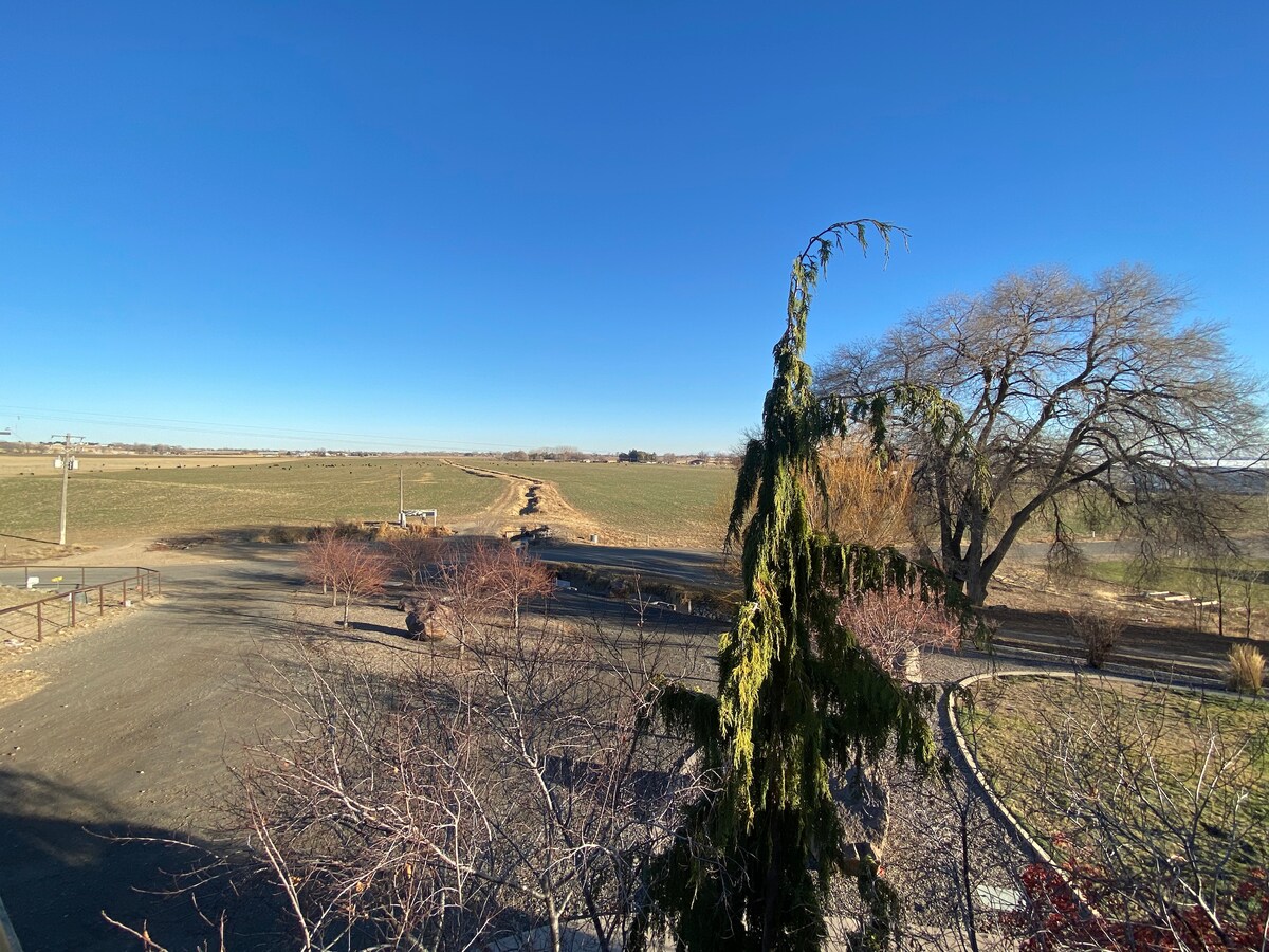 A clear blue sky overlooks expansive fields, framed by a tall evergreen tree. A dirt path leads through the landscape, and the scene includes a mix of trees and bare shrubs, suggesting a rural setting surrounded by farmland.