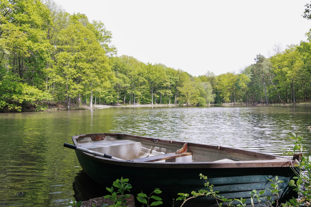 A small, green rowing boat rests along the edge of a tranquil pond, surrounded by lush greenery. Tree reflections can be seen on the calm water's surface, enhancing the serene natural setting.