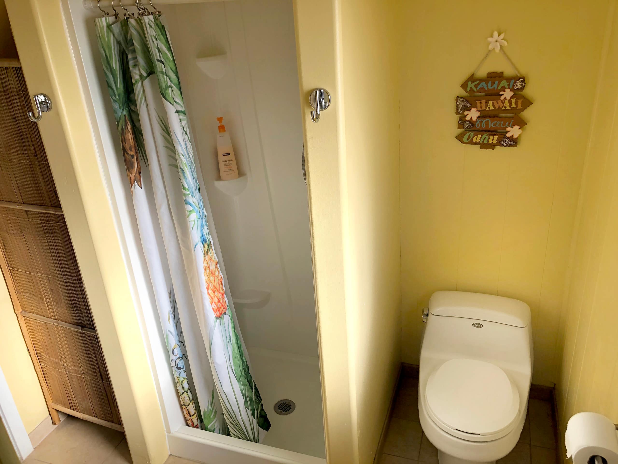 Panoramic Ocean View Studio, Permitted by Kaua‘i - Photo 1