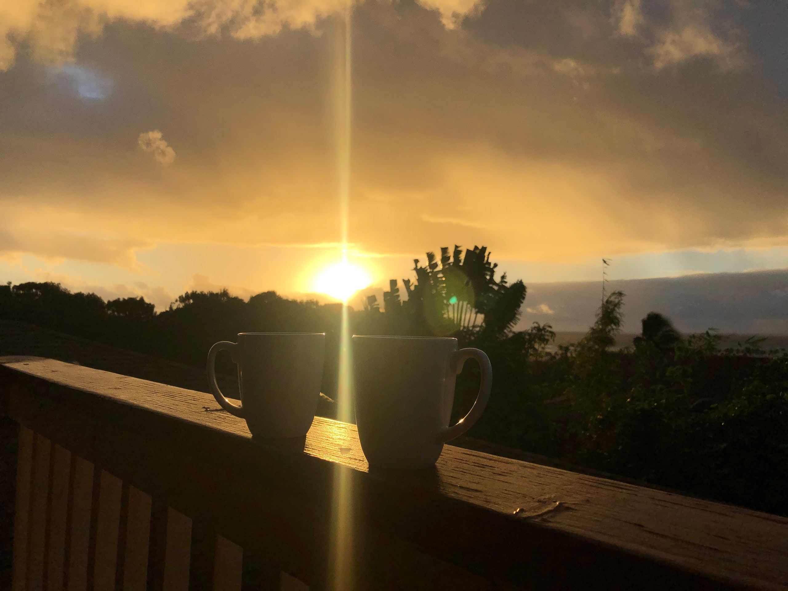 Panoramic Ocean View Studio, Permitted by Kaua‘i - Photo 6