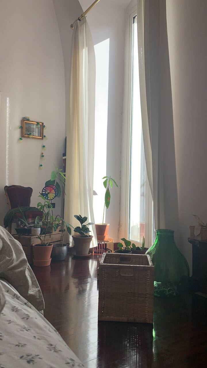 Apartment in Mola di Bari shared Condominiums for Rent in Mola di