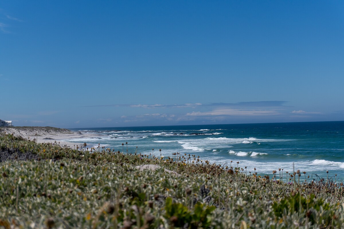 A scenic view of the coastline showcases gentle waves lapping at the shore under a clear blue sky. The foreground features a lush area of greenery with scattered wildflowers, adding texture to the landscape. The tranquil ocean stretches into the distance, promoting a sense of calm.