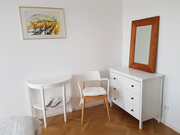 带梳妆台的卧室