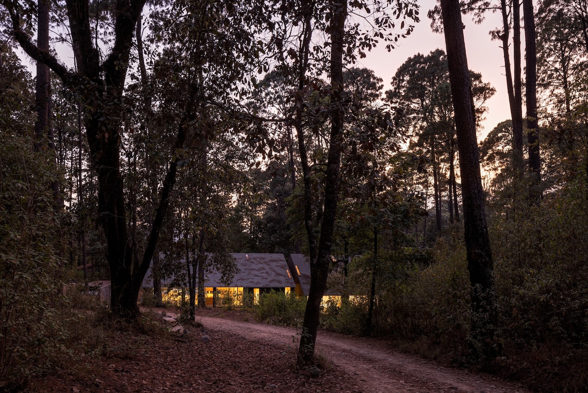 A serene view of a house nestled among tall trees at dusk, illuminated from within. A gravel pathway leads toward the house, bordered by lush greenery. The evening light casts a soft glow, highlighting the natural surroundings and creating a peaceful atmosphere.