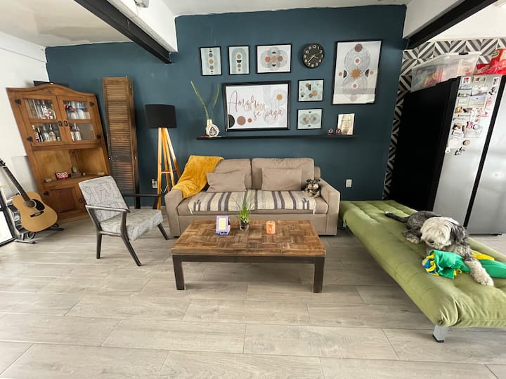 Casa Chakra Houses for Rent in San Luis Potosí, San Luis Potosí