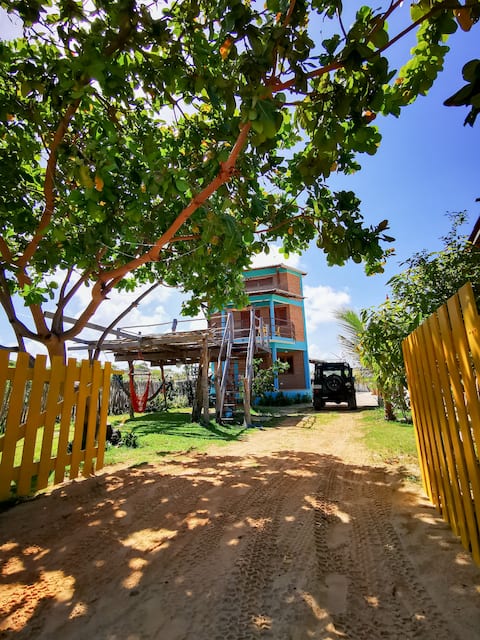 Casa Peixinhos