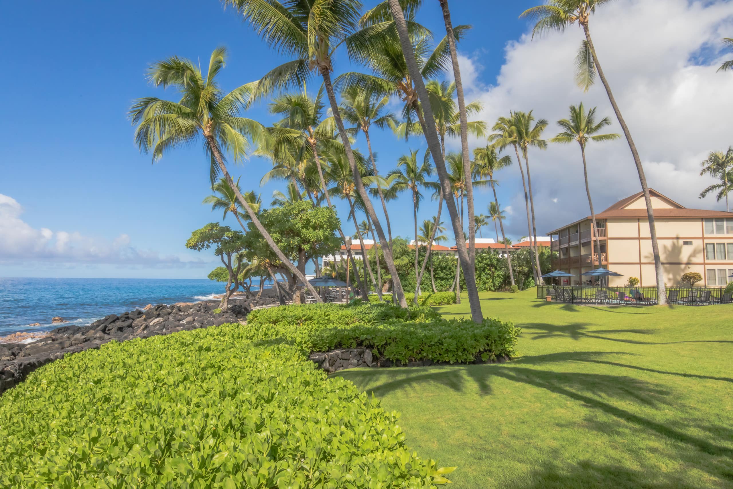 Condo in Kailua-Kona · ★4.94 · 1 bedroom · 2 beds · 1 bath - Image 14