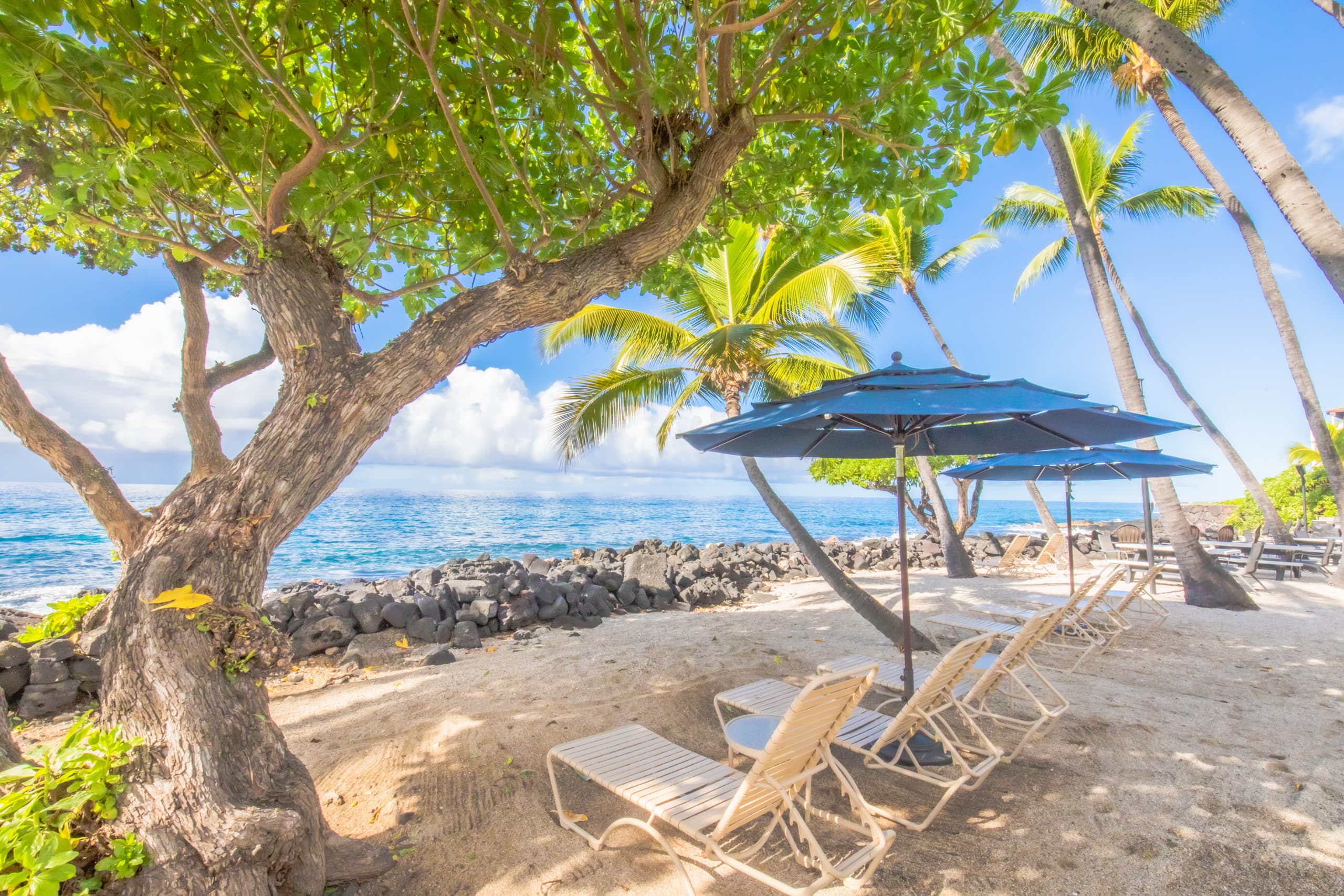 Condo in Kailua-Kona · ★4.94 · 1 bedroom · 2 beds · 1 bath - Image 12