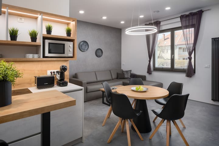 Vila Emona managed Airbnb listing 1