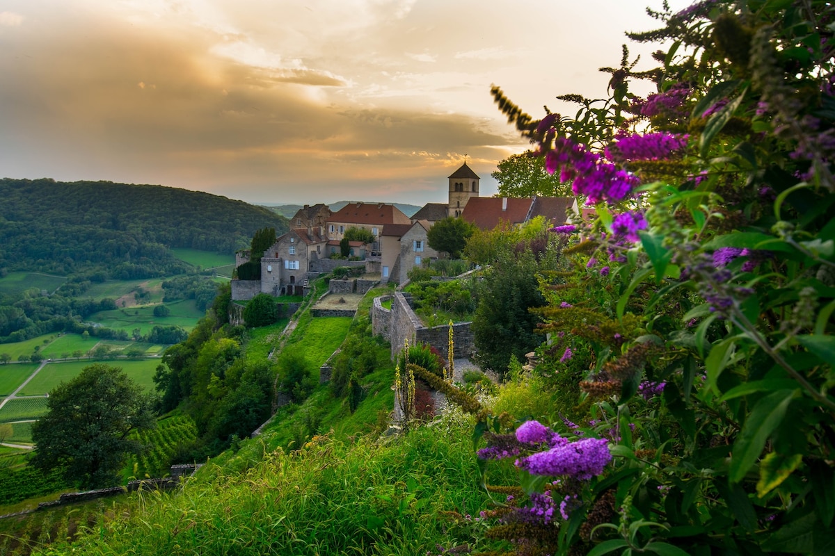 A hillside landscape features a charming village with historic buildings nestled among lush greenery. Vibrant flowers in shades of purple bloom in the foreground, while rolling hills and vineyards expand into the background under a softly lit sky.