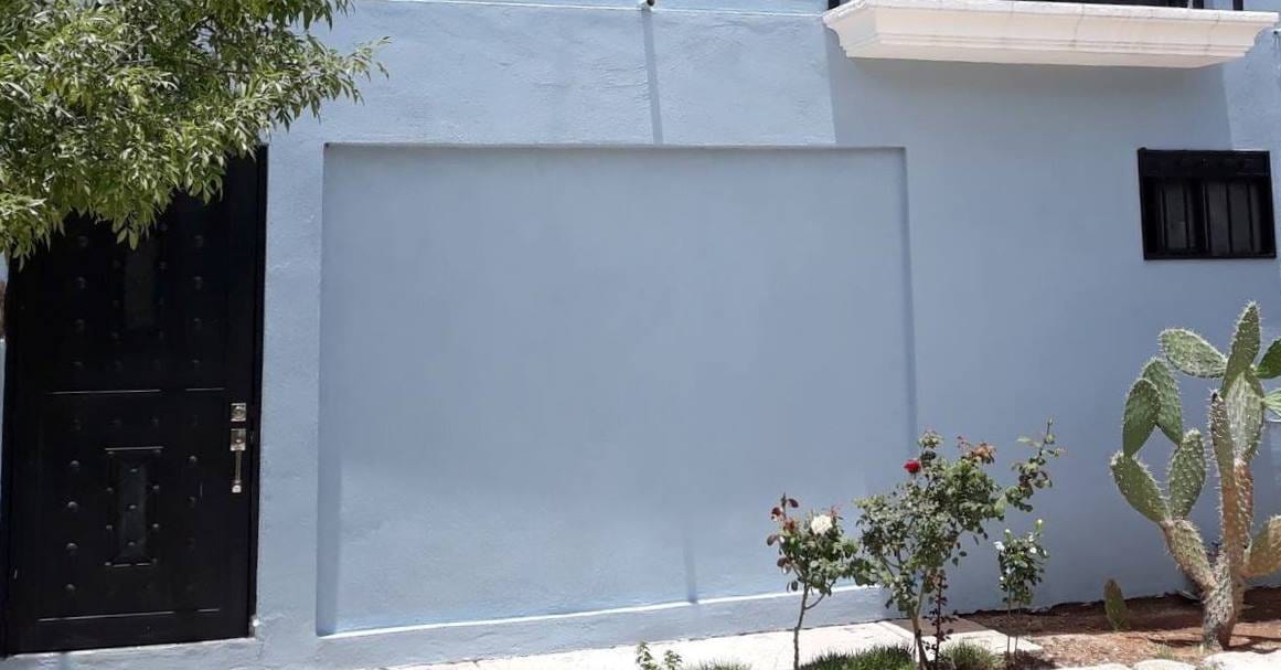 The exterior features a soft blue wall with a large empty space ideal for decoration. A black door provides an inviting entrance, complemented by a small rose bush and a cactus nearby. Natural greenery adds a touch of serenity to the exterior view.
