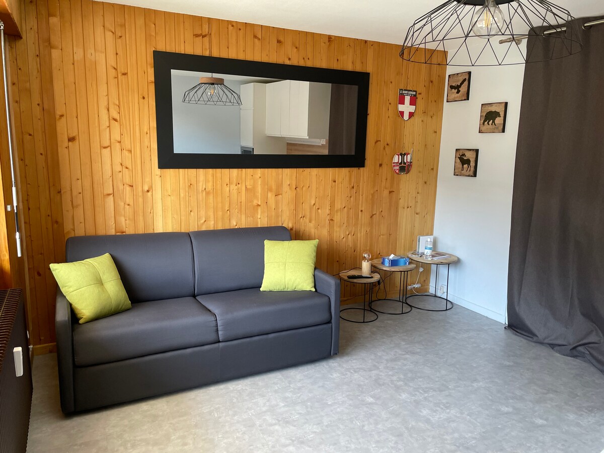 Popular Airbnb listing: Grand Bornand Village, close ski slopes and shops in Le Grand Bornand