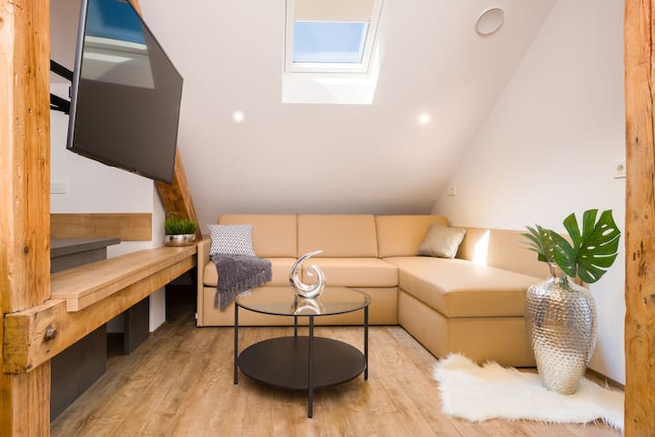 Vila Emona managed Airbnb listing 2