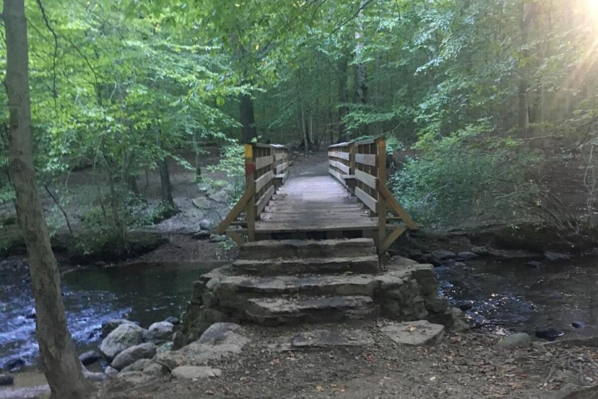 A wooden bridge spans a gently flowing stream, connecting two forested areas. Surrounding trees create a lush green canopy, with sunlight filtering through the leaves. Rocky stepping stones lead to the bridge, providing a natural transition from the forest floor to the water's edge.
