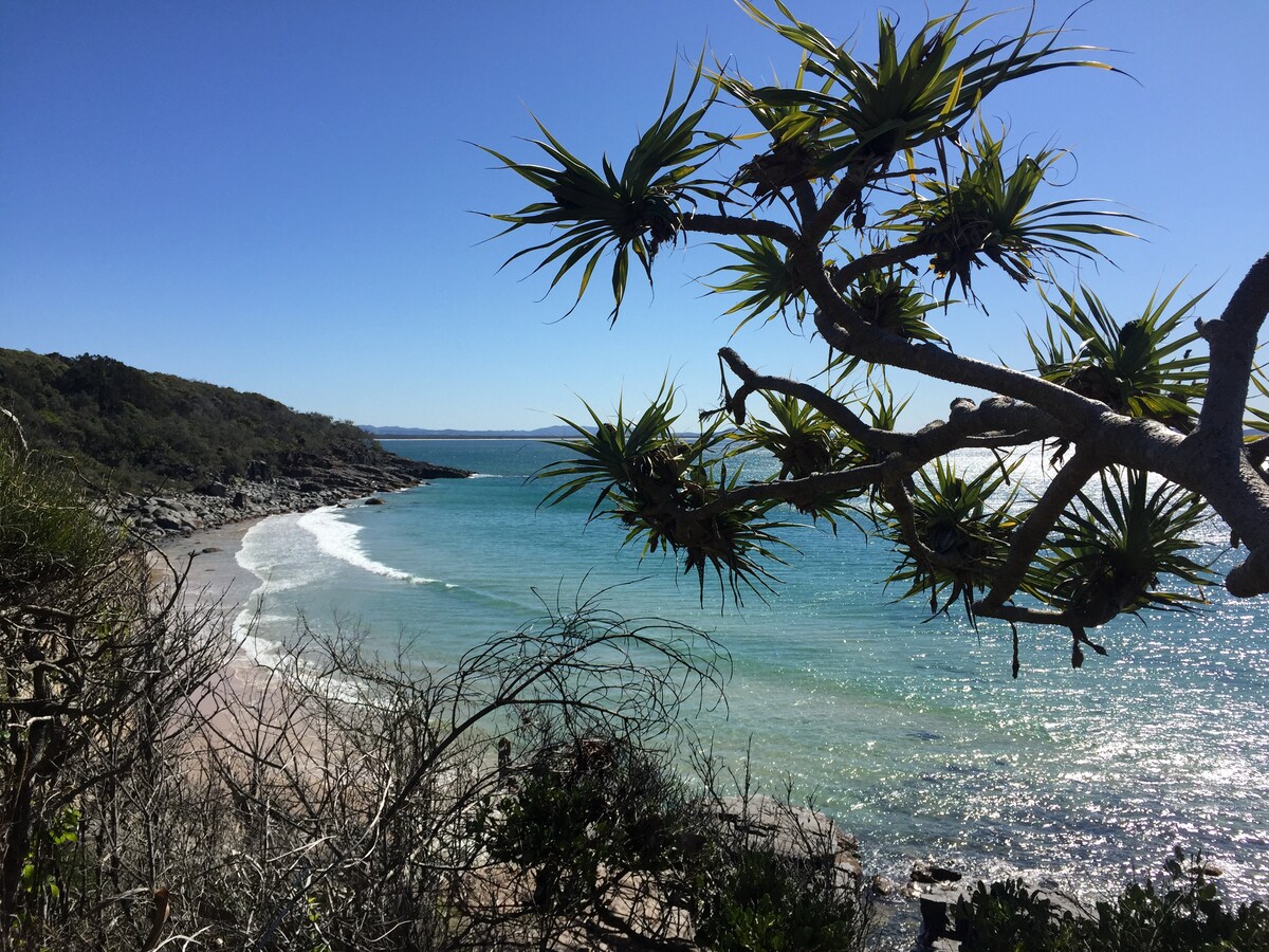 A coastal view is presented, showcasing gentle waves lapping against a sandy beach. Lush greenery is framed by a prominent tree branch, providing depth to the scene. The clear blue sky reflects over the sparkling water, hinting at a serene and inviting atmosphere.