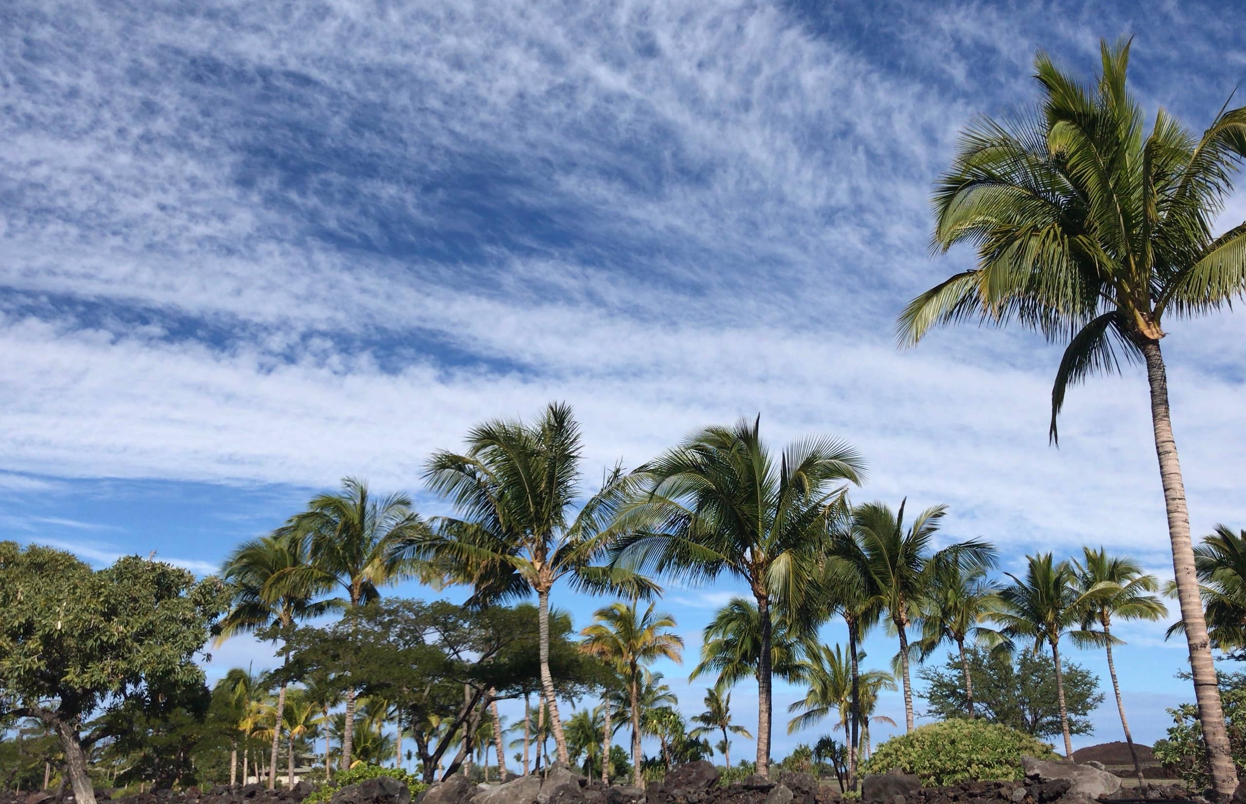 Hawaii Big Island Waikoloa Beach Luxury Villa - Photo 7
