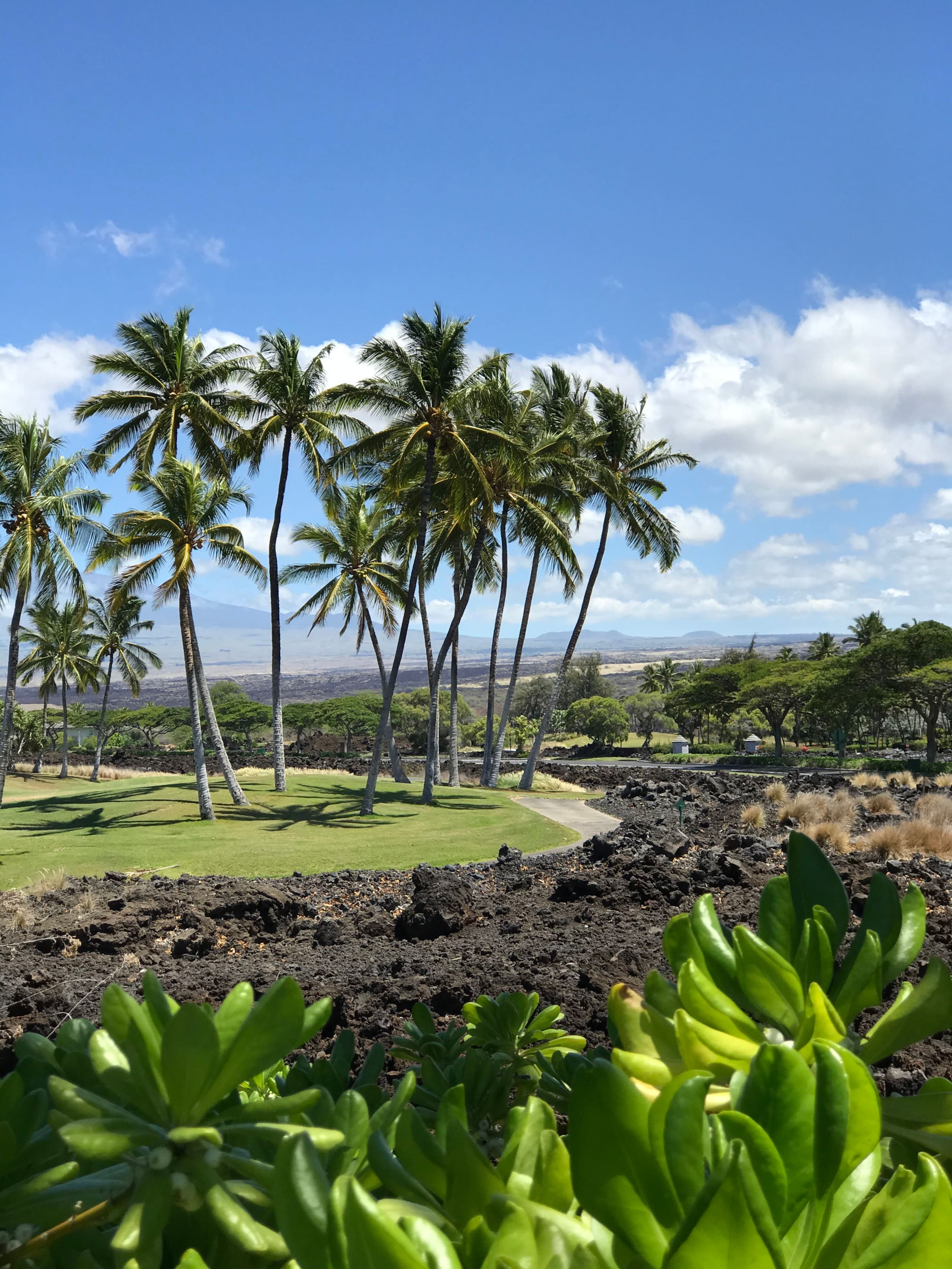 Hawaii Big Island Waikoloa Beach Luxury Villa - Photo 9
