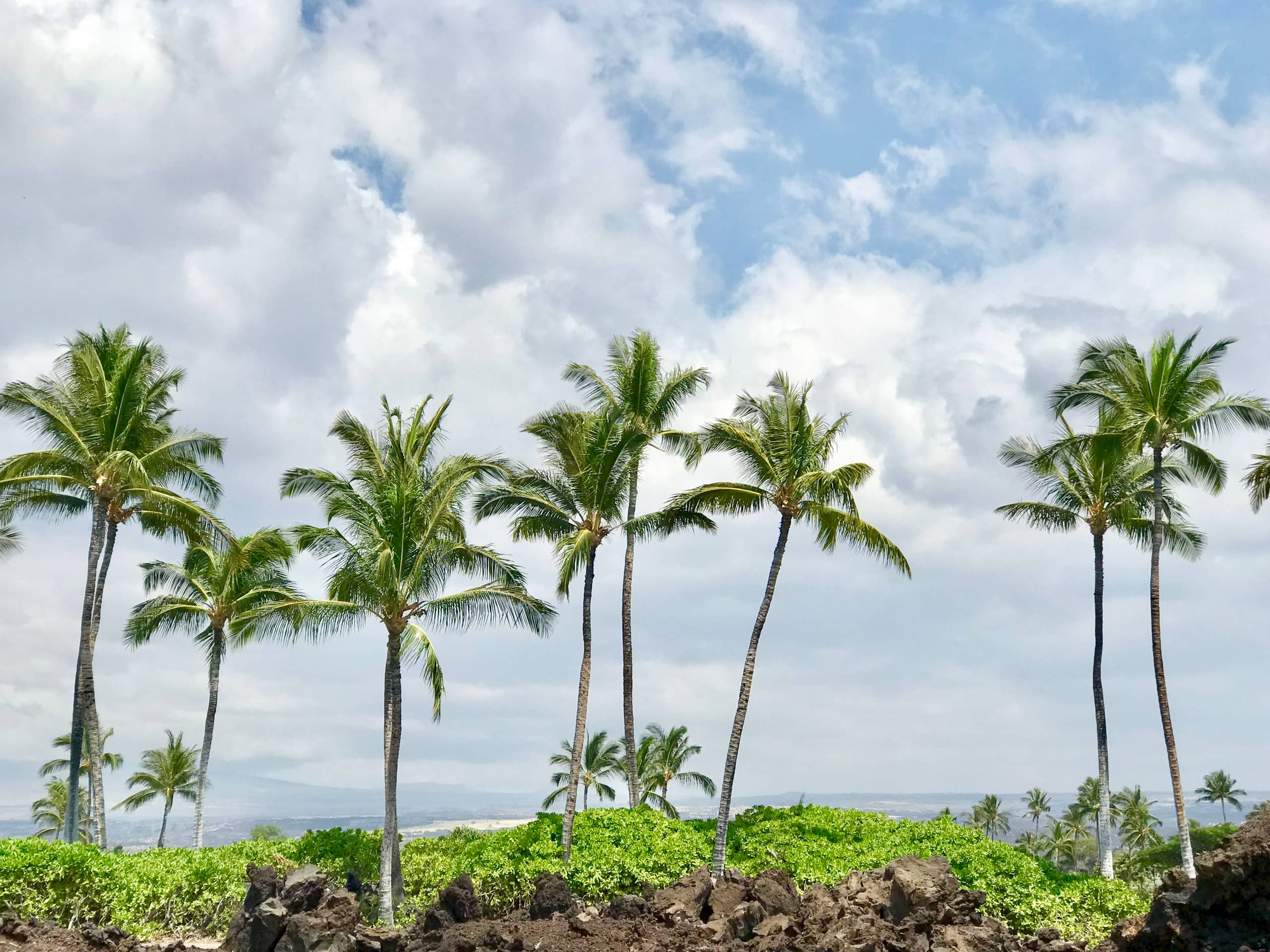 Hawaii Big Island Waikoloa Beach Luxury Villa - Photo 8