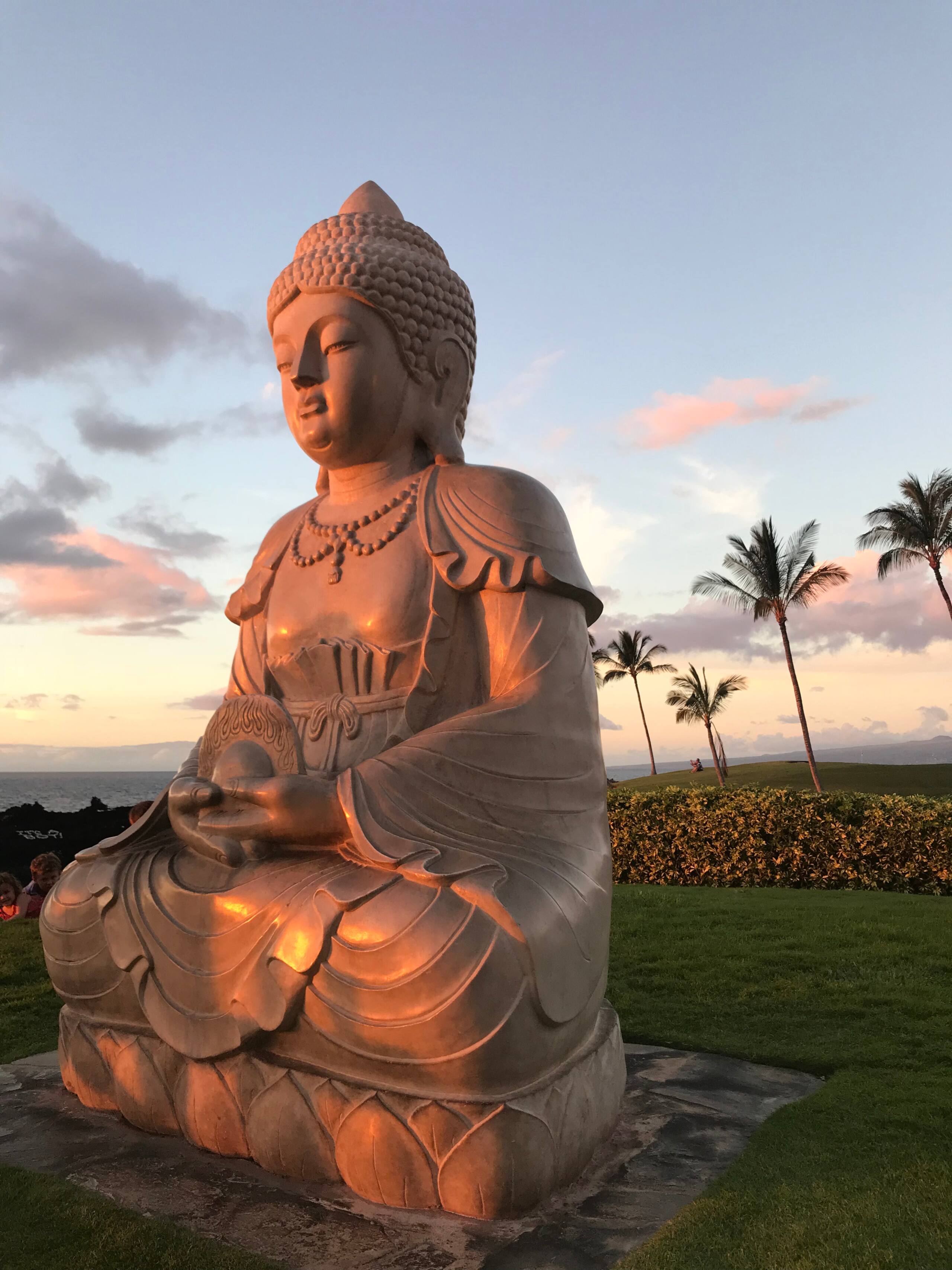 Hawaii Big Island Waikoloa Beach Luxury Villa - Photo 12
