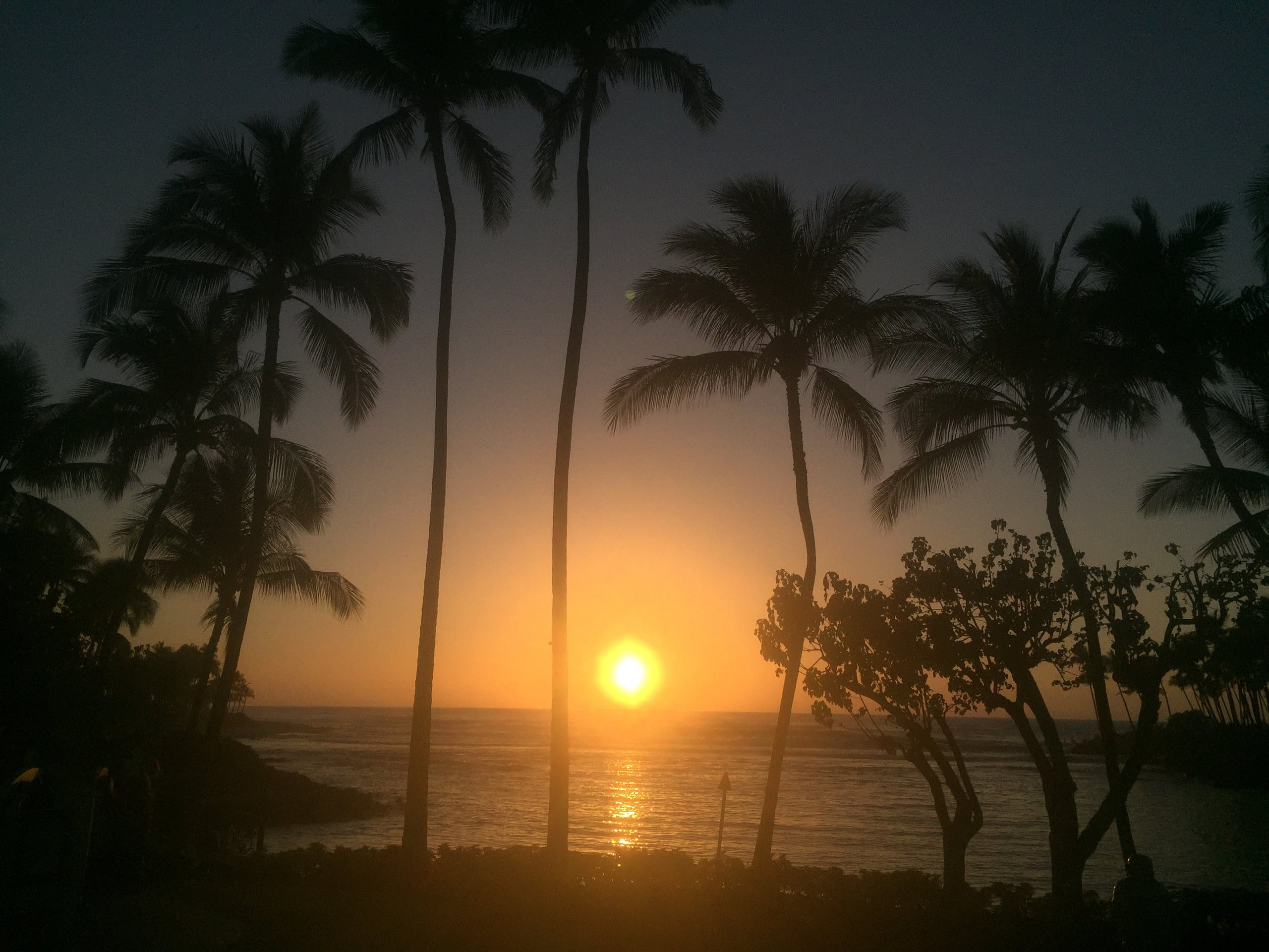 Hawaii Big Island Waikoloa Beach Luxury Villa - Photo 11