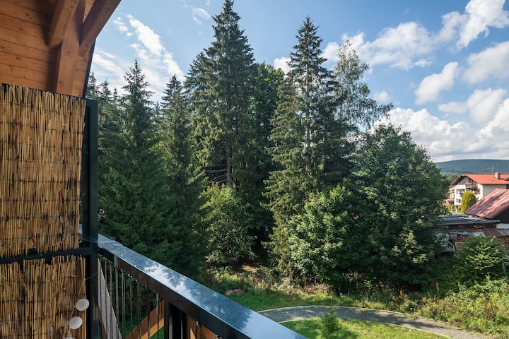 Paseky nad Jizerou Vacation Rentals & Homes - Liberec Region, Czechia |  Airbnb
