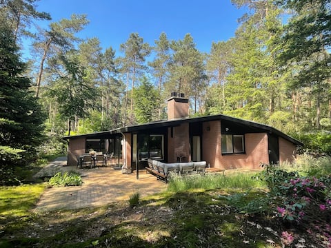 Detached cozy bungalow in the middle of the forest