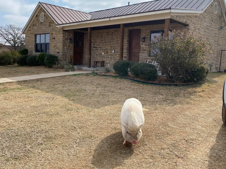 Muenster Vacation Rentals & Homes Texas, United States Airbnb