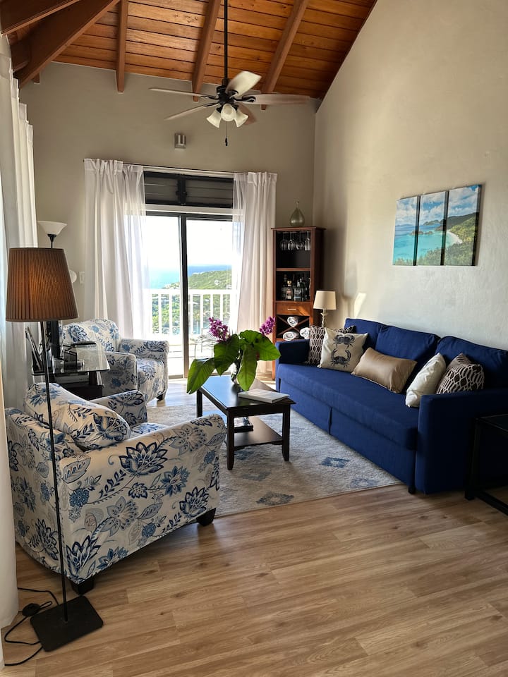 Amazing Views From Blue Oasis Villa The Upper Deck - セント・ジョン島