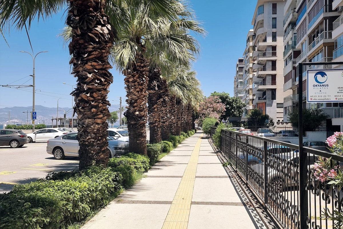 A concrete walkway lined with palm trees leads alongside a street. The path is wide and bordered by lush greenery. To one side, parked vehicles are visible, while modern buildings rise in the background. A fence with decorative details runs parallel to the path.